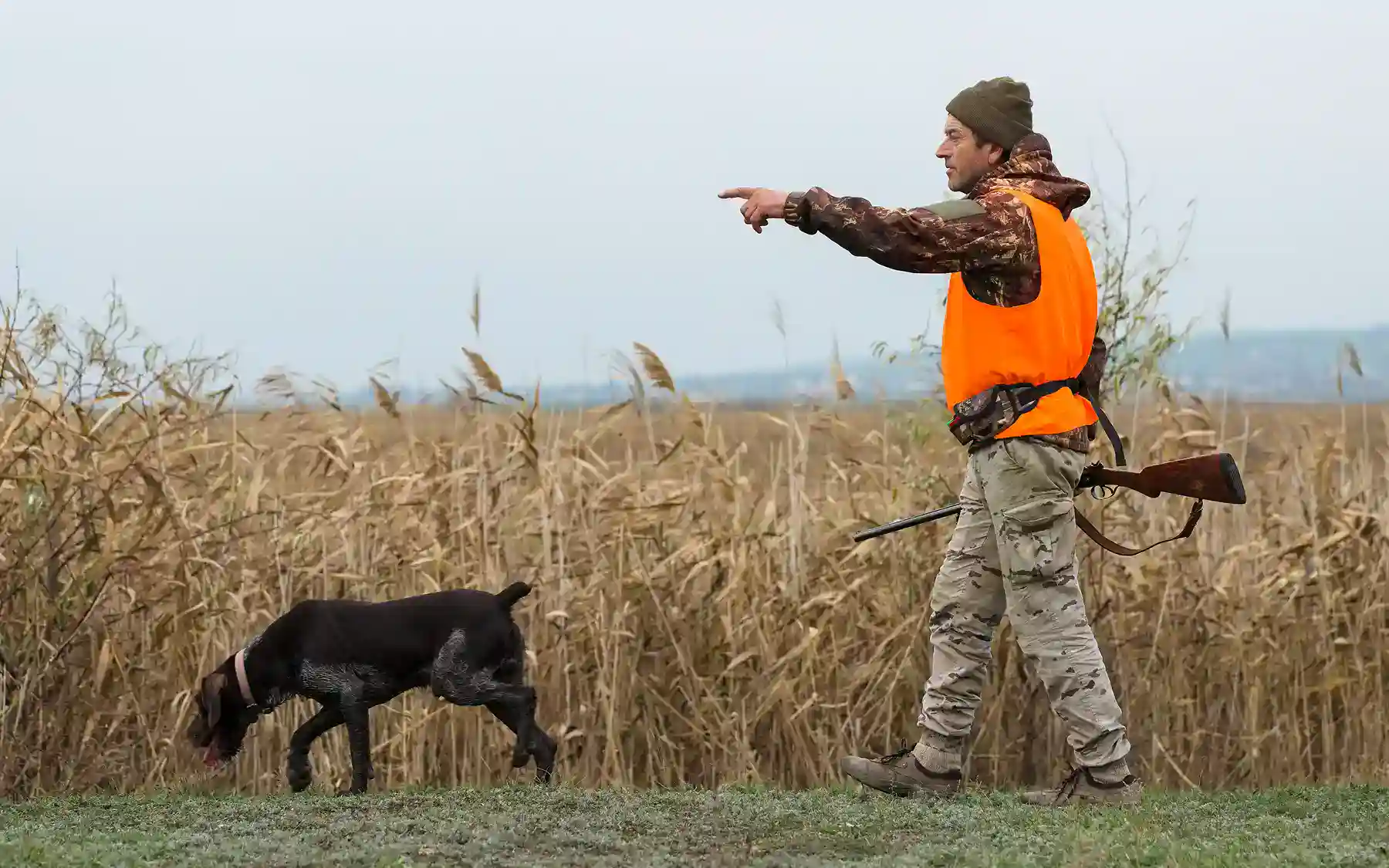 Wind Calling Predators Predator Calling Guide: Sounds, Scents & Setups